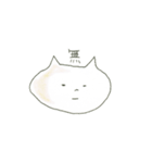 やわねこ（個別スタンプ：28）