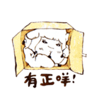 Sheep A-fu (ver.2)（個別スタンプ：37）