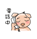 HONEY PIG（個別スタンプ：16）