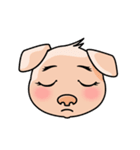 HONEY PIG（個別スタンプ：40）