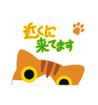 もふ猫（個別スタンプ：2）