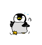 子ペンギンです。（個別スタンプ：23）