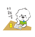 Bichon Money (life articles)（個別スタンプ：1）