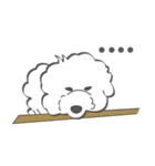 Bichon Money (life articles)（個別スタンプ：2）