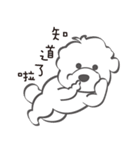 Bichon Money (life articles)（個別スタンプ：3）