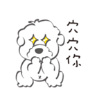 Bichon Money (life articles)（個別スタンプ：5）