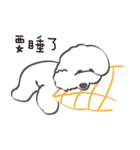Bichon Money (life articles)（個別スタンプ：8）