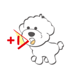 Bichon Money (life articles)（個別スタンプ：11）