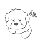 Bichon Money (life articles)（個別スタンプ：12）