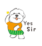 Bichon Money (life articles)（個別スタンプ：13）
