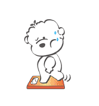 Bichon Money (life articles)（個別スタンプ：16）