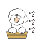 Bichon Money (life articles)（個別スタンプ：17）