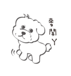 Bichon Money (life articles)（個別スタンプ：19）