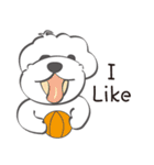 Bichon Money (life articles)（個別スタンプ：20）