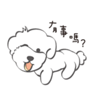 Bichon Money (life articles)（個別スタンプ：21）