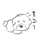 Bichon Money (life articles)（個別スタンプ：27）