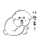 Bichon Money (life articles)（個別スタンプ：28）