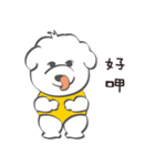 Bichon Money (life articles)（個別スタンプ：31）