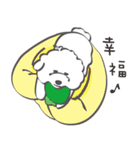 Bichon Money (life articles)（個別スタンプ：33）