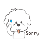 Bichon Money (life articles)（個別スタンプ：34）