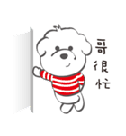 Bichon Money (life articles)（個別スタンプ：36）