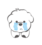 Bichon Money (life articles)（個別スタンプ：40）