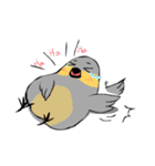 Java sparrow's diary（個別スタンプ：34）