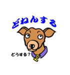 ワシら岡山犬(おかやまけん)（個別スタンプ：31）