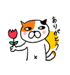 ねこのささみ（個別スタンプ：19）