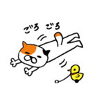 ねこのささみ（個別スタンプ：37）
