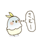 ゆるいインコたち（個別スタンプ：12）