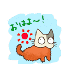 ねこかつ（個別スタンプ：5）
