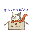 ねこかつ（個別スタンプ：13）