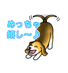 ビーグル犬って可愛い！（個別スタンプ：5）