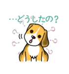 ビーグル犬って可愛い！（個別スタンプ：17）