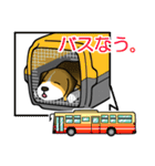 ビーグル犬って可愛い！（個別スタンプ：31）