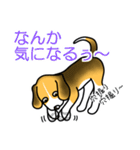 ビーグル犬って可愛い！（個別スタンプ：38）