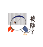 Chu Chu Bird Life.（個別スタンプ：3）