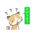 ぶさねこ～関西弁～（個別スタンプ：19）