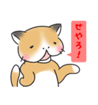 ぶさねこ～関西弁～（個別スタンプ：22）