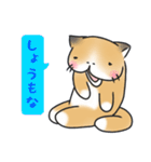 ぶさねこ～関西弁～（個別スタンプ：36）