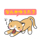 ぶさねこ～関西弁～（個別スタンプ：40）