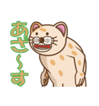 おとぼけ「ライオンねこ」（個別スタンプ：24）