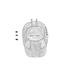 あわび先輩（個別スタンプ：33）