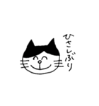 前髪ねこ（個別スタンプ：40）