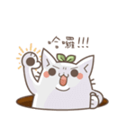 Bean cat（個別スタンプ：17）