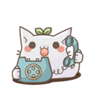 Bean cat（個別スタンプ：24）