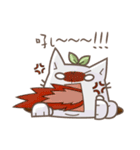 Bean cat（個別スタンプ：37）