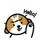 シーズー犬かぼちゃん（個別スタンプ：1）