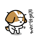 シーズー犬かぼちゃん（個別スタンプ：31）